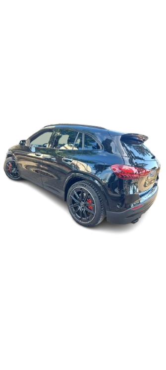 VIP vehicle alternate view